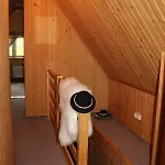 Nad Potokiem מלון
