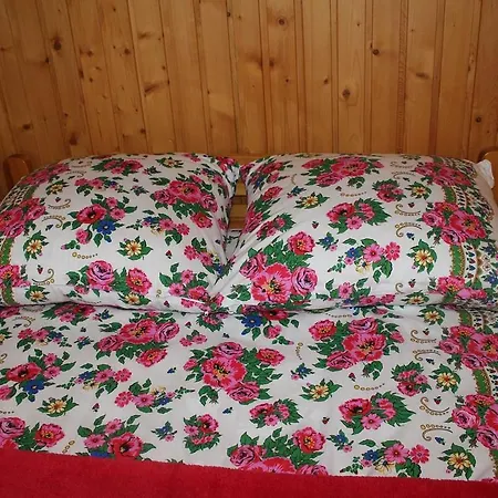 Apartament Nad Potokiem Zakopane