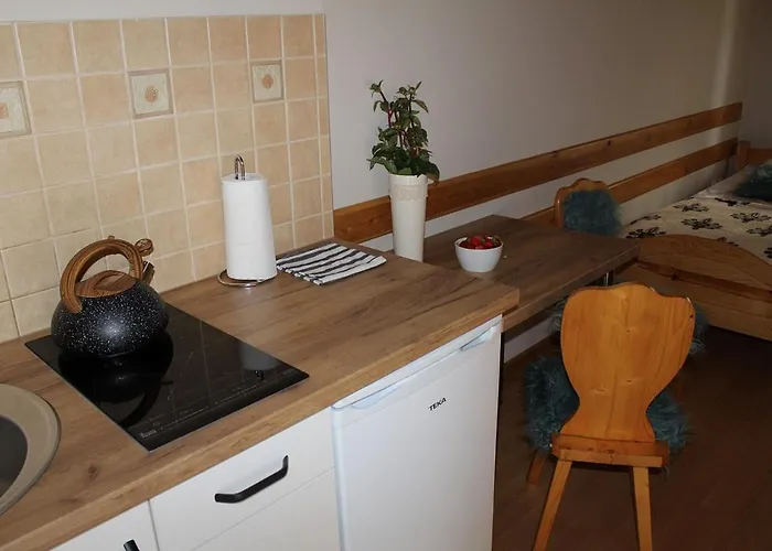 Nad Potokiem מלון זקופאנה